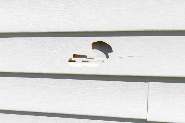 Same-Day Junk Removal Services in Sparks, GA